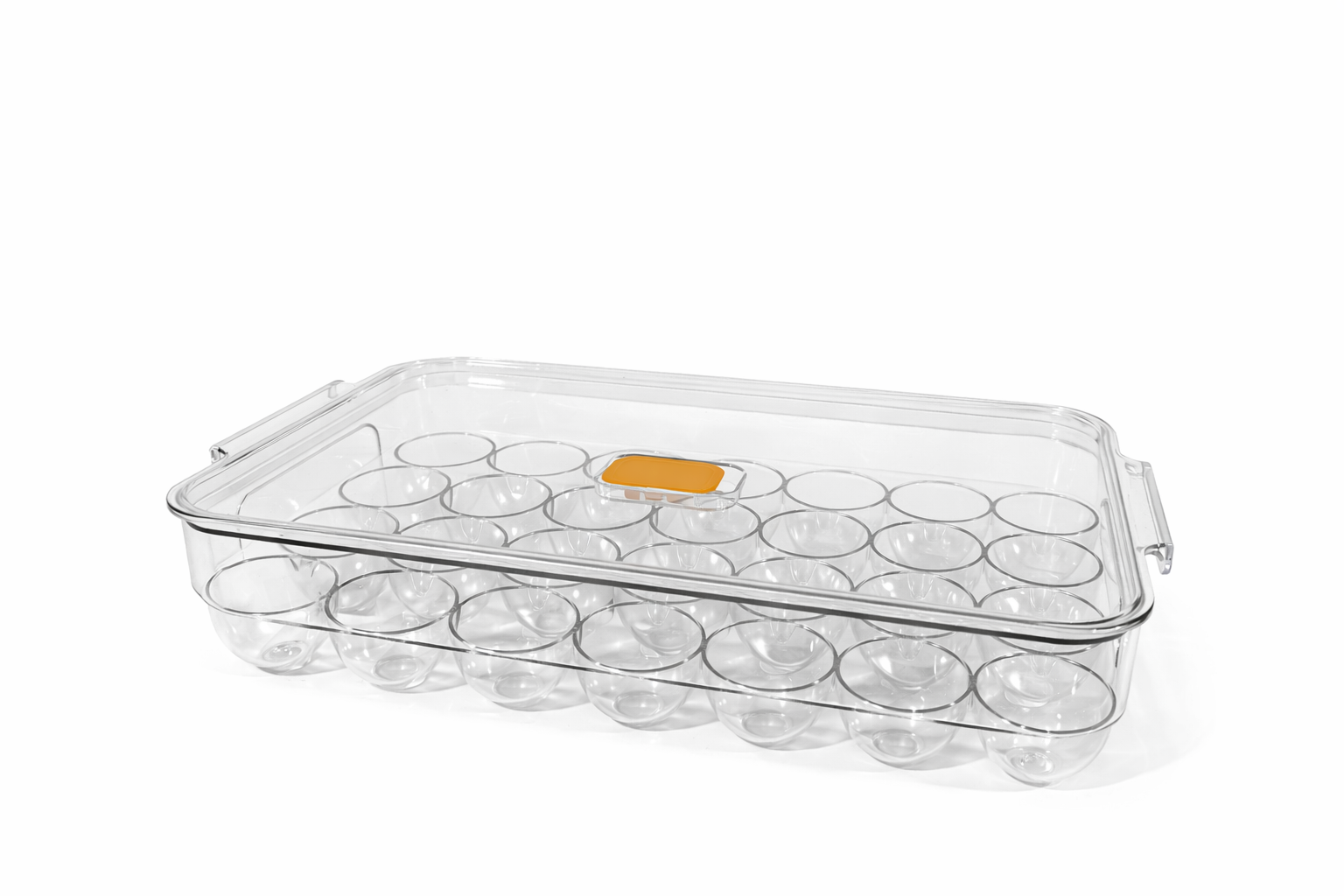 Clear Egg Storage Box