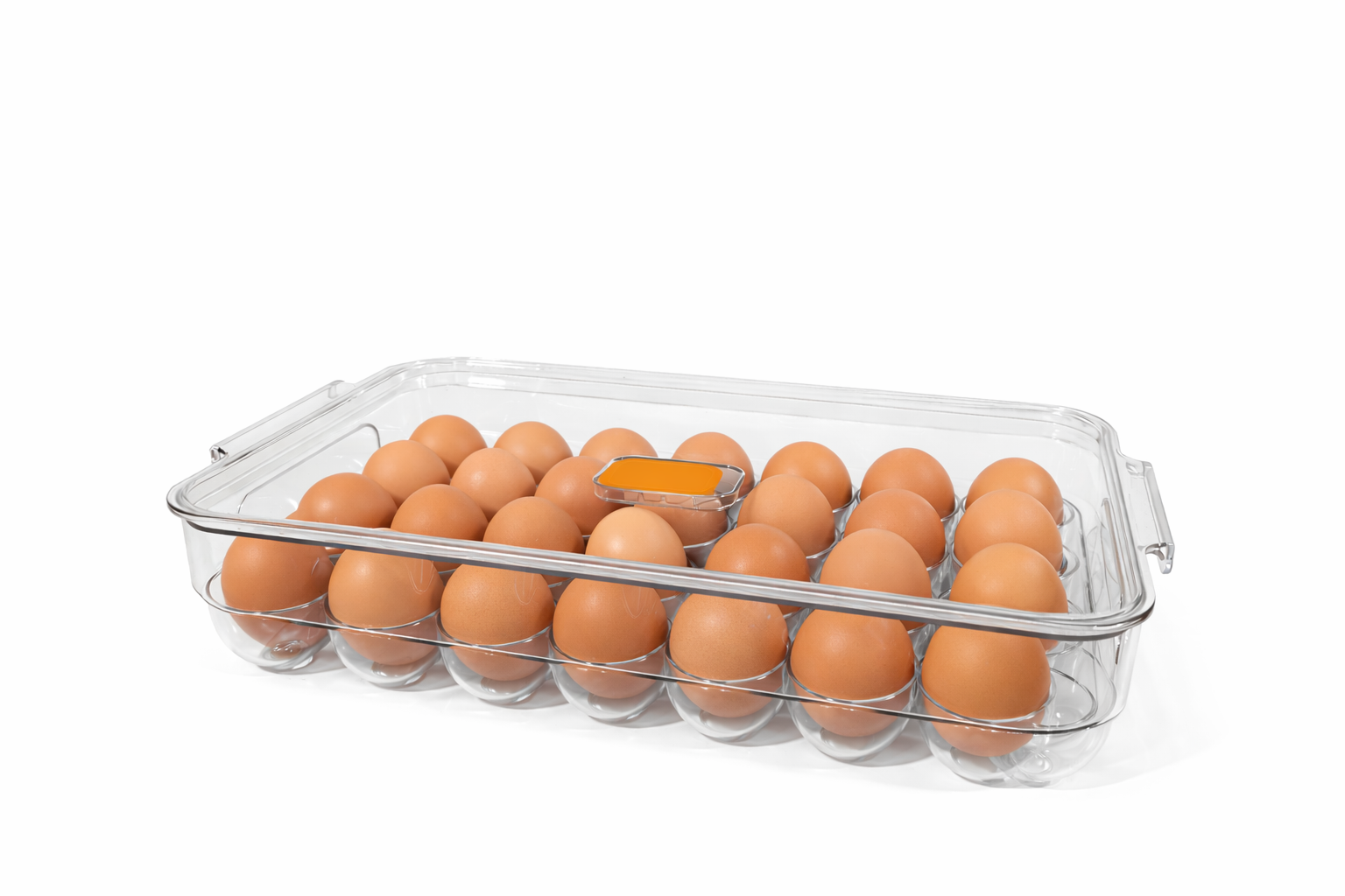 Clear Egg Storage Box